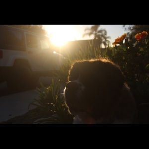 Meet your Posher, Cassidy